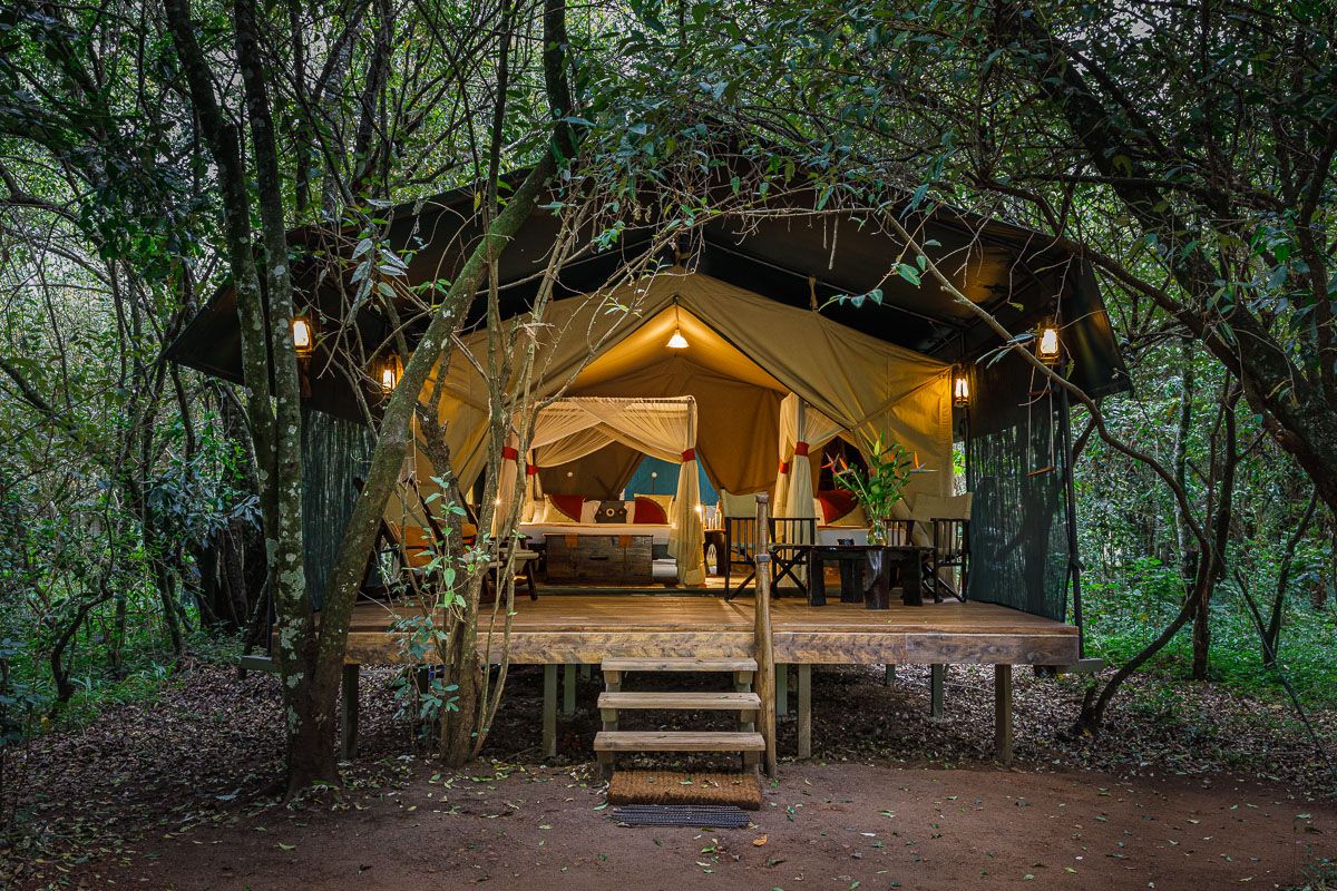 Mara Bush Camp Room